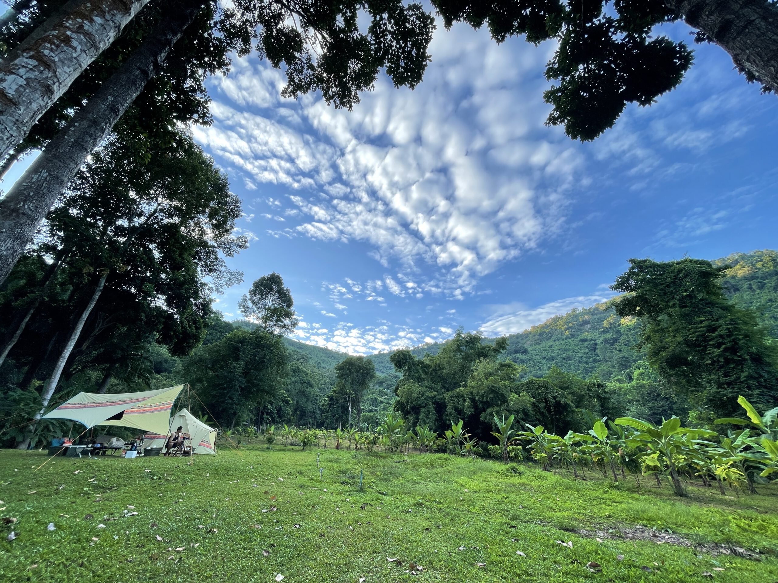 @Suan Silarin Nakhon Nayok