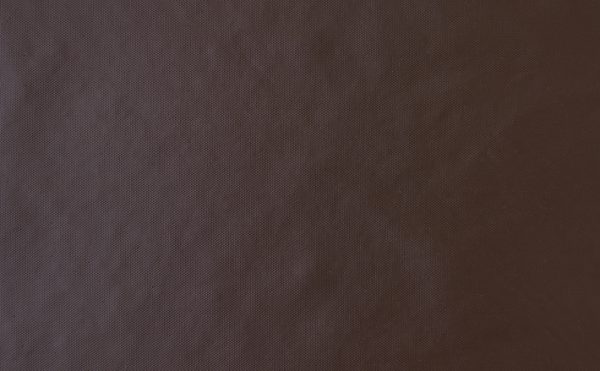81064041_4